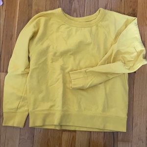 Everlane Slim Classic French Terry Crew